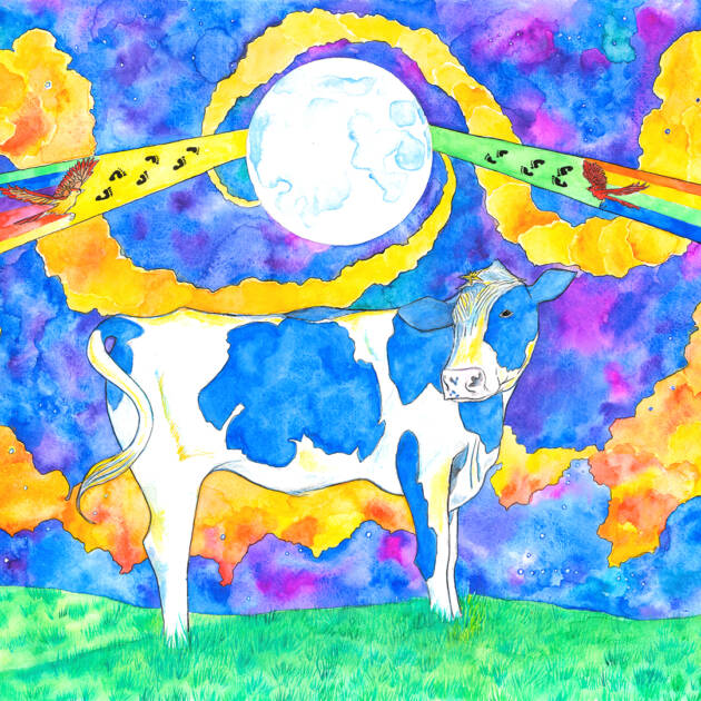 Cosmic Cow
