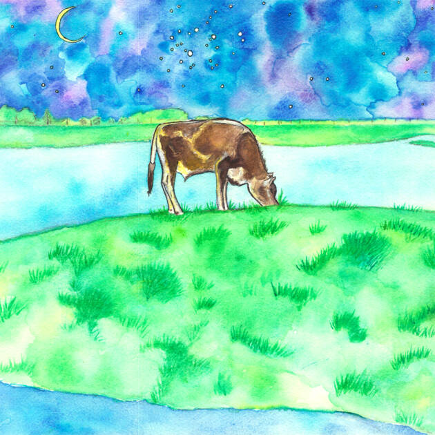 Lone Cow